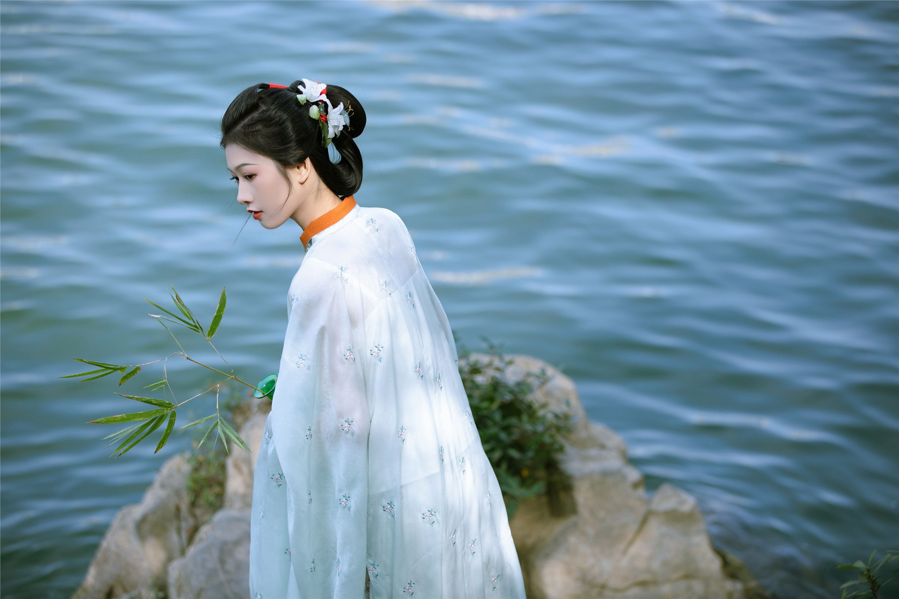 YITUYU艺图语 2025.01.28 观沧海 歪歪